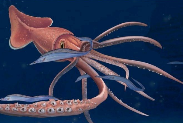 海洋中最厉害的生物是什么 十大最强海洋生物 第7张
