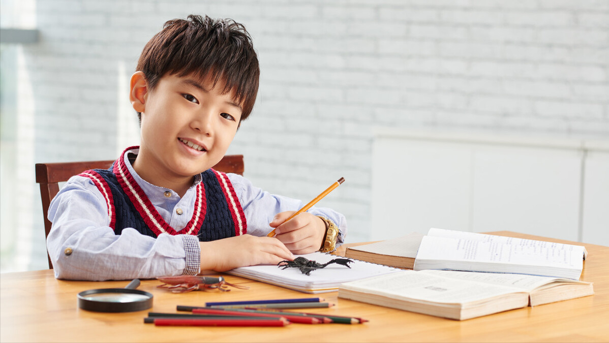 跆拳道培训要多少钱（附：孩子学习跆拳道的好处） 第3张