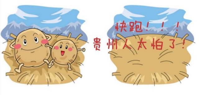 洋芋是土豆吗（洋芋、土豆和马铃薯是同一个东西） 第1张