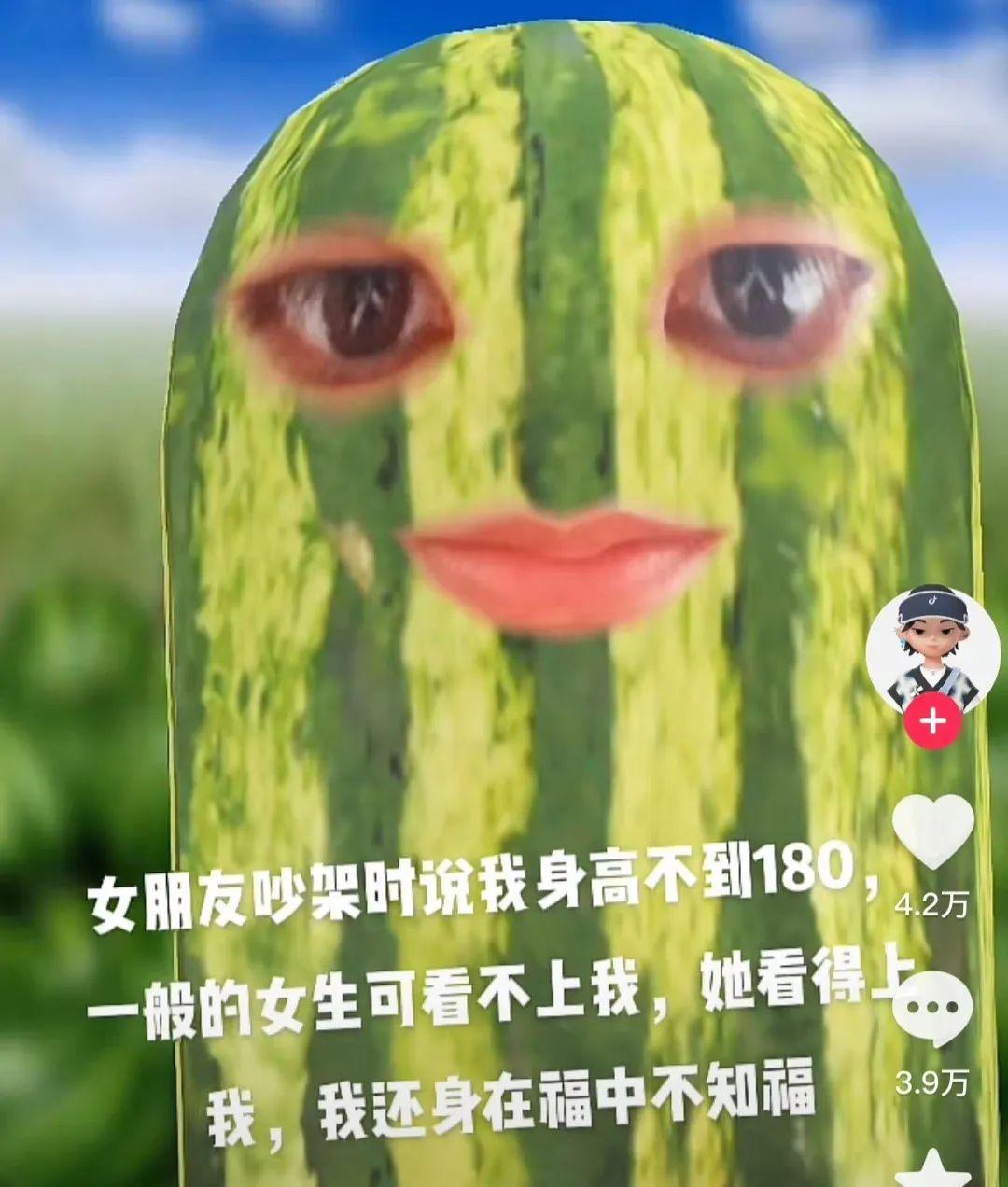 CPU是什么意思网络用语(30秒看懂cpu梗含义与行为) 第42张 CPU是什么意思网络用语(30秒看懂cpu梗含义与行为) 第42张