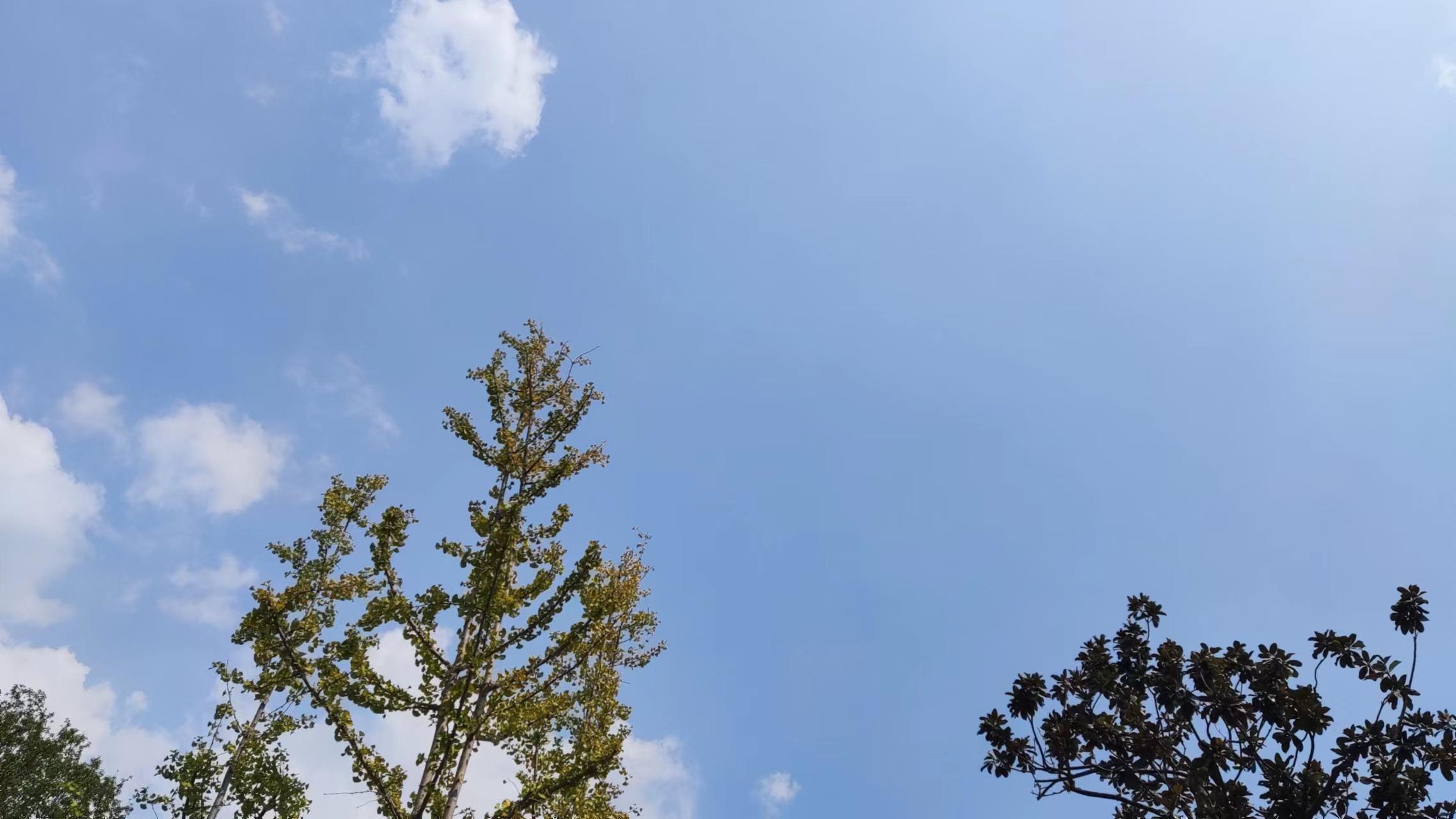 双标是什么意思（双标的含义及表现介绍） 第3张