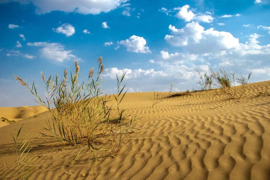 情侣旅游地点推荐（超适合情侣旅行的12个打卡地） 第29张