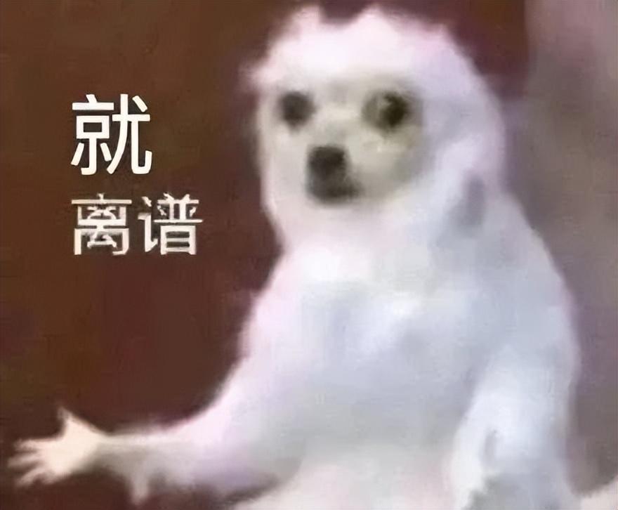 CPU是什么意思网络用语(30秒看懂cpu梗含义与行为) 第30张 CPU是什么意思网络用语(30秒看懂cpu梗含义与行为) 第30张