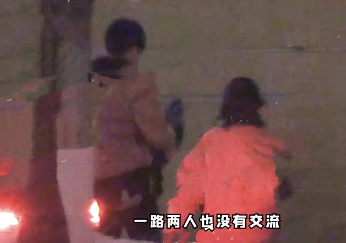 张子枫男朋友是谁？张子枫焉栩嘉恋情是真的吗 第9张