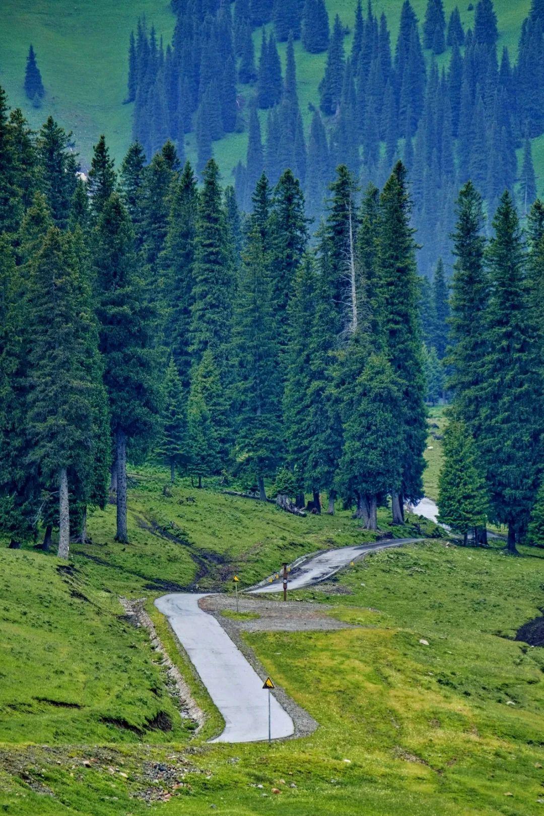 情侣旅游地点推荐（超适合情侣旅行的12个打卡地） 第69张