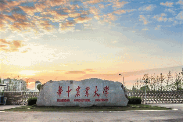武汉最好的十所大学排名，武汉大学位居第一 第11张
