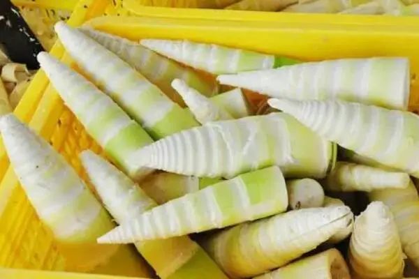 盘点十大常见低热量蔬菜，冬瓜、西芹居前两名 第15张