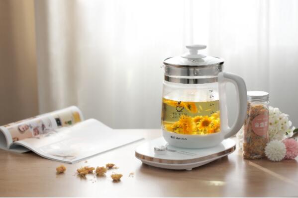 养生电器产品有哪些？好用的养生类电器十大排名 第3张