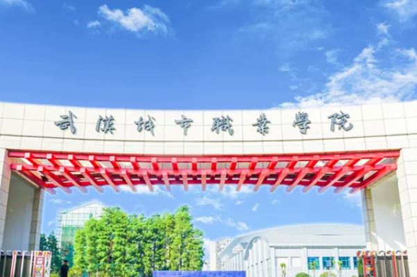 武汉排名前十的大专学校，武汉职业技术学院排第一名 第15张