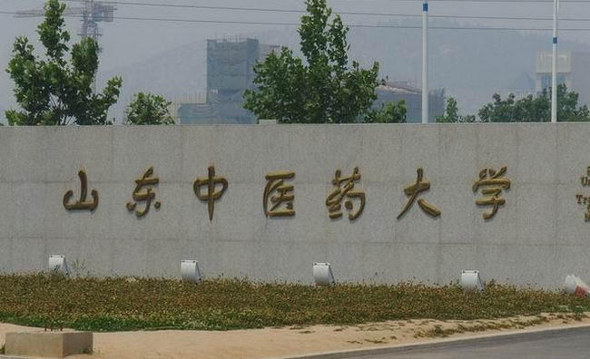 山东中医药大学 第19张