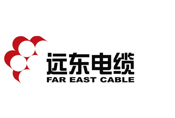 中国电线电缆十大名牌，远东电缆占据第一名 第1张