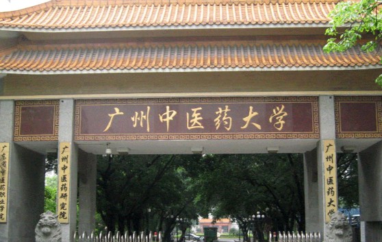 中国十大中医药大学排名，北京中医药大学名列第一 第5张