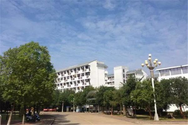广西10大最好的专科学校：广西有哪些好的大专？ 第13张