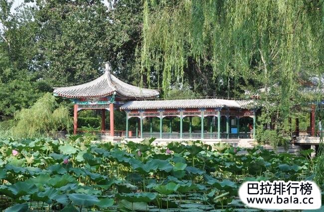 北京大学 第7张