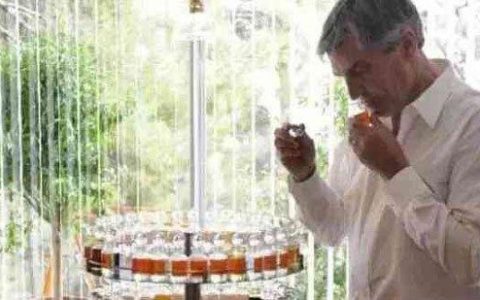 盘点十大奇葩职业，世界上最奇怪的10大职业