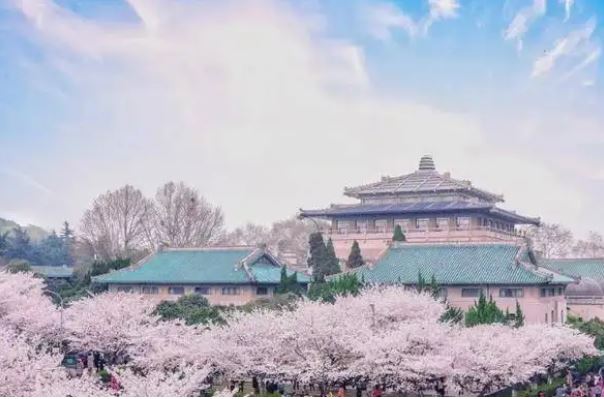 国内十大名牌大学排名：清华北大浙大包揽前三名 第17张