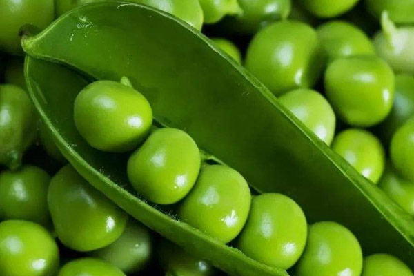 世界十大健康蔬菜：番茄、西兰花、芦笋包揽前三 第9张