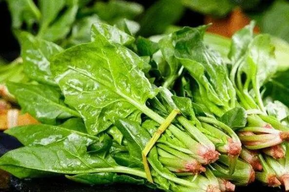 十大最有营养的蔬菜：菠菜、西蓝花、胡萝卜全部入榜！ 第1张