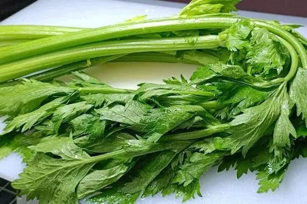 十大最有营养的蔬菜：菠菜、西蓝花、胡萝卜全部入榜！ 第13张
