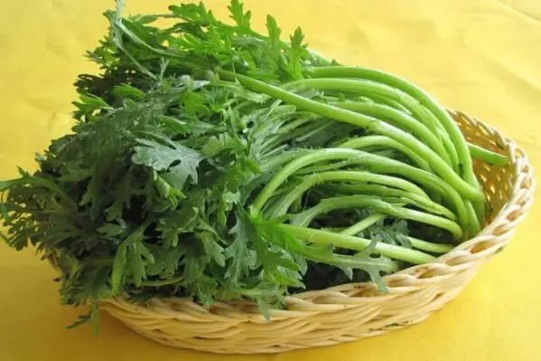 适合秋天种植的十种蔬菜：小白菜、萝卜、芹菜均榜上有名 第3张