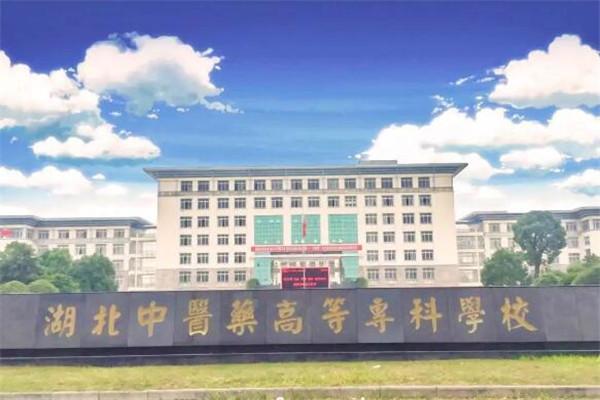 湖北10大最好的专科学校：有你想报考的学校没有？ 第17张