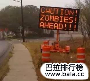 7 第13张