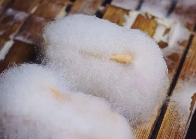 黄山有什么特色菜？去黄山必点的7道徽菜 第9张