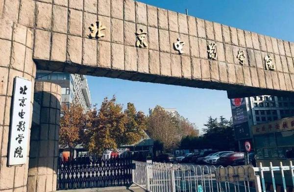 国内10大最好的艺术大学：中央音乐学院名列榜首 第7张