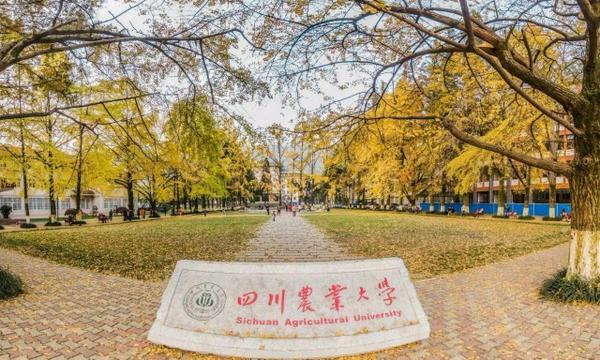 四川省5大211大学：四川大学领衔榜单 第9张