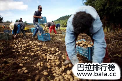农场工人 第5张