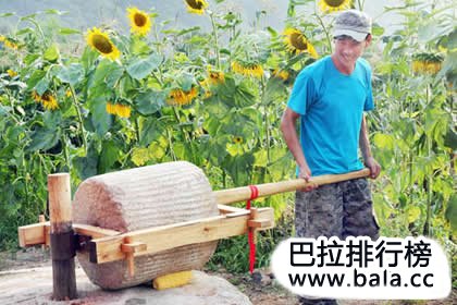 农场工人 第7张