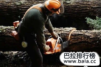 伐木工人 第39张