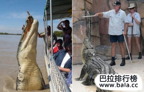 世界上十大最危险的职业，什么职业最危险？ 第7张