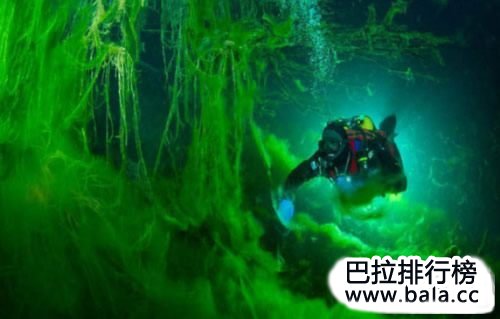世界上十大最危险的职业，什么职业最危险？ 第15张