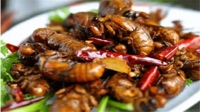 中国最奇葩的5种零食：个个奇葩，直毁三观！ 第9张