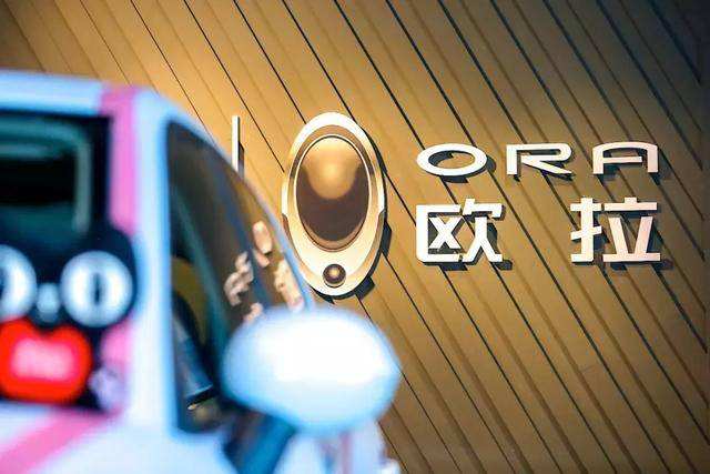 国内新能源汽车排名十强：小鹏汽车第五，哪吒汽车居首 第11张