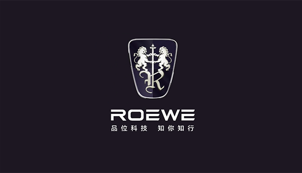 国内新能源汽车排名十强：小鹏汽车第五，哪吒汽车居首 第13张