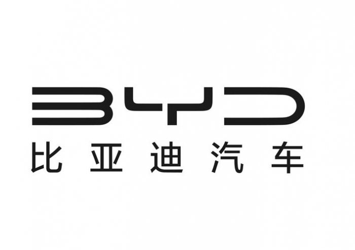 国内新能源汽车排名十强：小鹏汽车第五，哪吒汽车居首 第17张