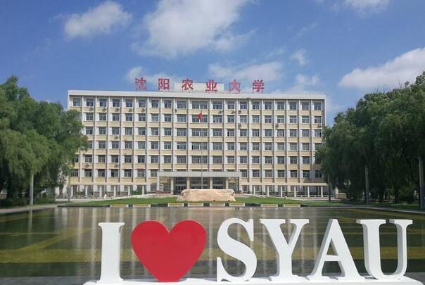 辽宁十大最美高校排名：东北大学位列第一名 第11张