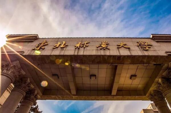 021年农林类名校排行榜：中国农业大学排名榜首"