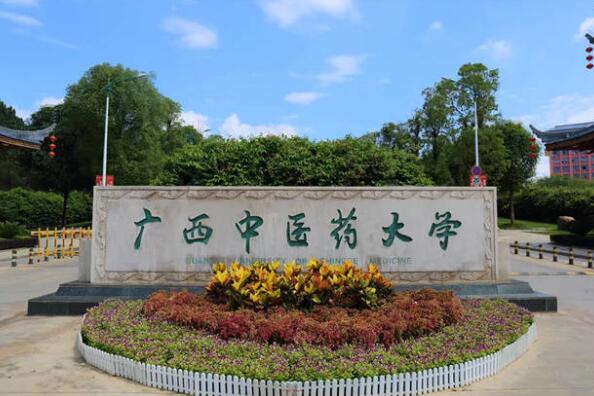南宁市十大名校排名，广西大学位居榜首 第9张