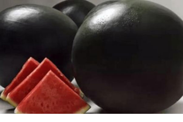 全球最贵的十大食材，世界上最贵的食物都有哪些？ 第17张