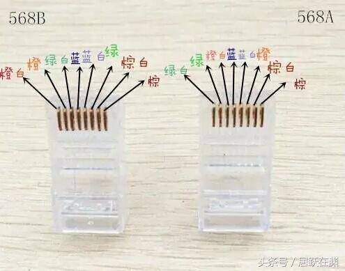 1521089531074eb5ff5479bnoop.image_ 第1张