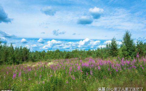 简单而又幸福生活的句子（温馨幸福的心情说说）