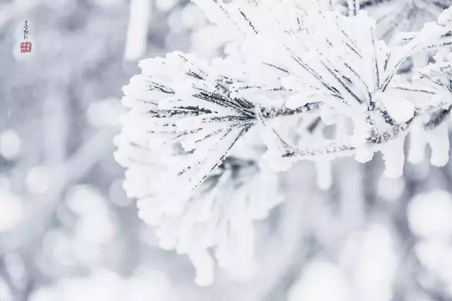 描写雪的现代诗有哪些（有关雪景的十首现代诗歌） 第17张