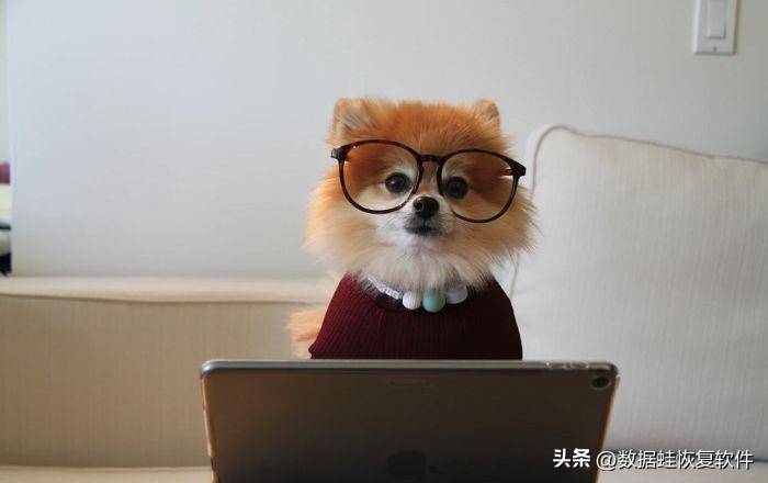 8e660773ccec4dbebf74a5586aa60f6dnoop.image_ 第3张