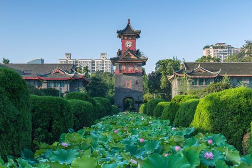 武书连2021中国大学排名前十，清华北大包揽前两名 第17张