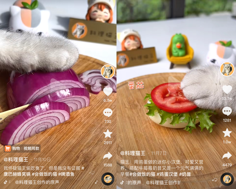 宠物网红：替人赚钱的工具猫狗 第7张