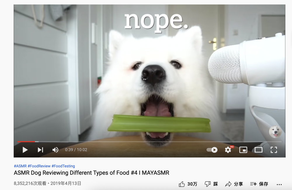 宠物网红：替人赚钱的工具猫狗 第17张