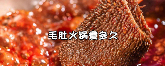 毛肚火锅需要煮多长时间？ 第1张